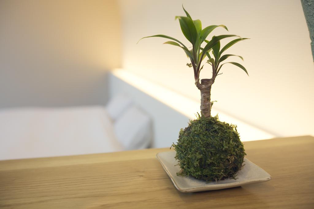 Ryokan Mokuzin Hakuba Pokój zdjęcie
